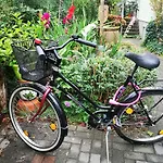 Pension zum Sägebock
